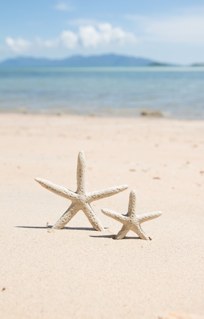 Étoile de mer debout sur la plage