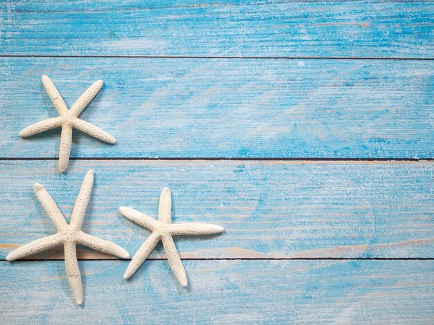 Étoile de mer sur un fond de mer bleue