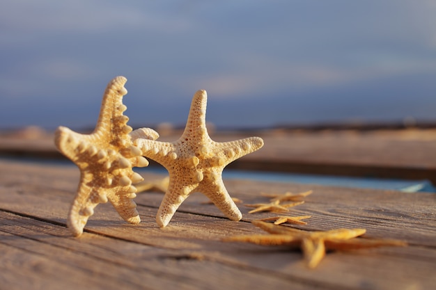 Étoile de mer sur une jetée en bois versée sur une terrasse en bois.