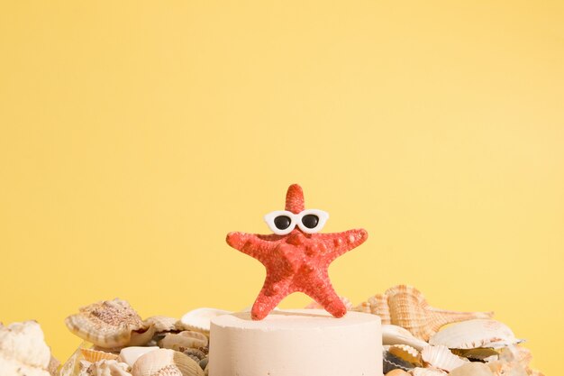 Étoile de mer à lunettes de soleil sur un piédestal parmi les coquillages sur fond jaune concept d'été créatif