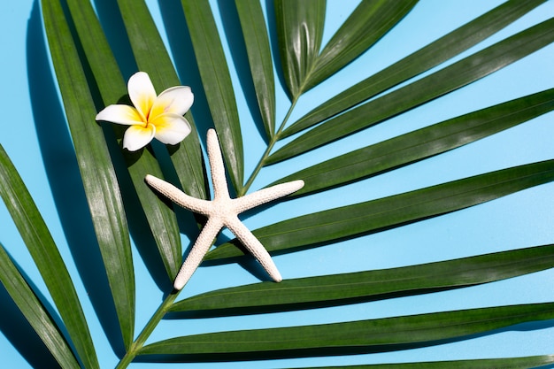 Étoile de mer avec plumeria ou fleur de frangipanier sur des feuilles de palmier tropical sur fond bleu. Profitez du concept de vacances d'été. Vue de dessus