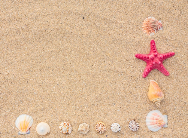 Étoile de mer et vague sur la plage de sable