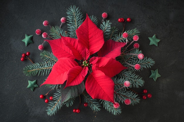 Étoile de Noël fleur, ou poinsettia, et brindilles décorées de sapin, plat poser sur noir