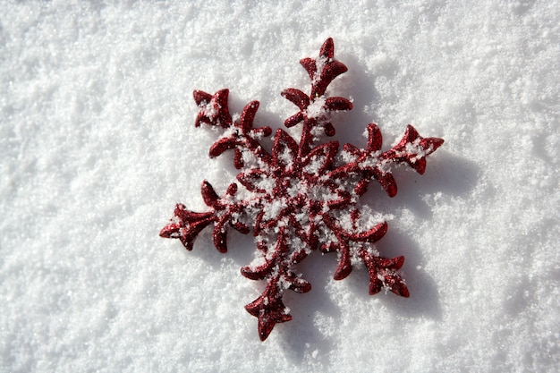 Étoile de Noël rouge dans un fond de jour de neige