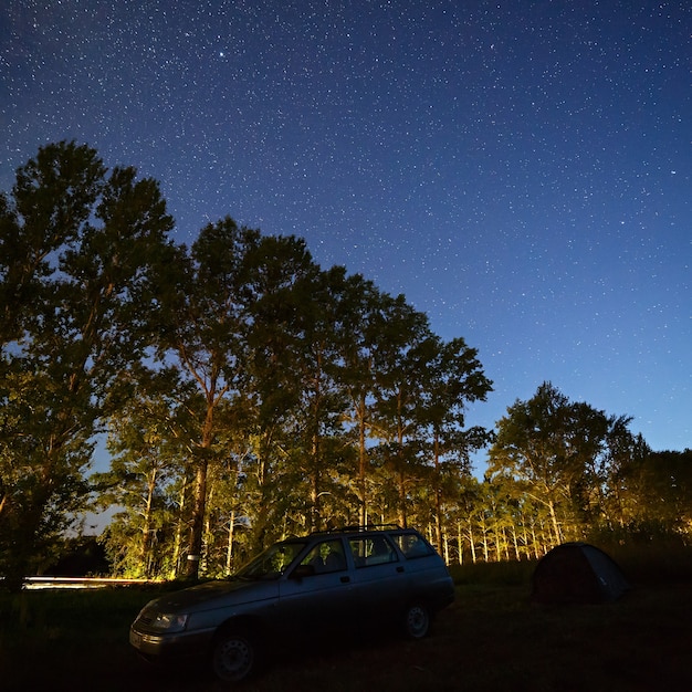 Étoiles dans le ciel nocturne au-dessus de l'autoroute dans la forêt