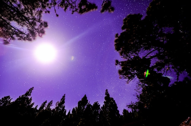 Étoiles dans le ciel la nuit