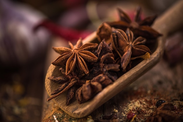 Étoiles entières d'anis sur la cuillère en bois