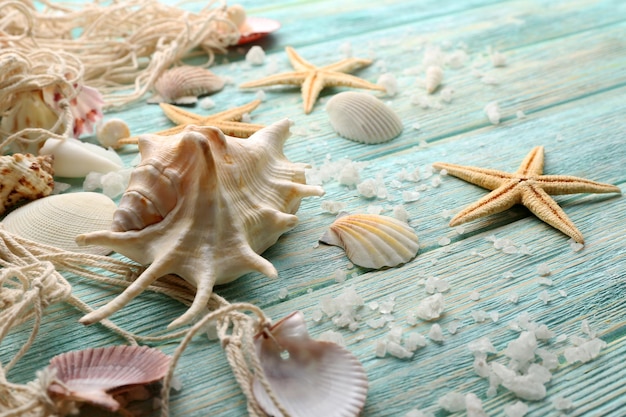 Étoiles de mer et coquillages sur fond de bois