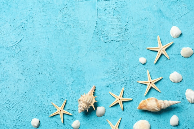 Étoiles de mer et coquillages sur la surface bleue