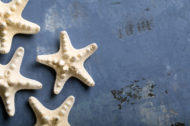 Étoiles de mer sur la surface bleue