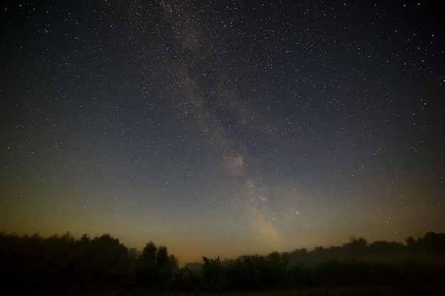 Étoiles de la Voie Lactée dans le ciel nocturne