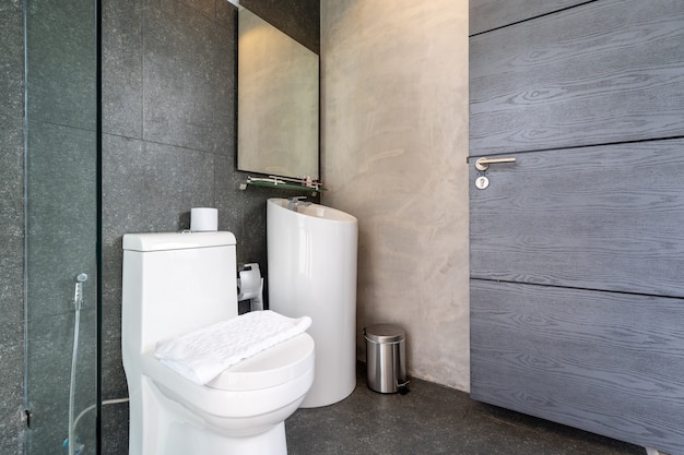 Toilette à chasse d'eau dans les toilettes de la villa et de l'appartement