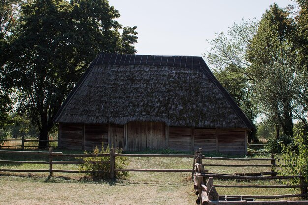 Toit de chaume d'une maison dans la forêt