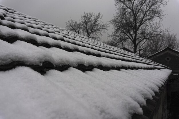 Photo un toit couvert de neige contre un arbre nu et le ciel