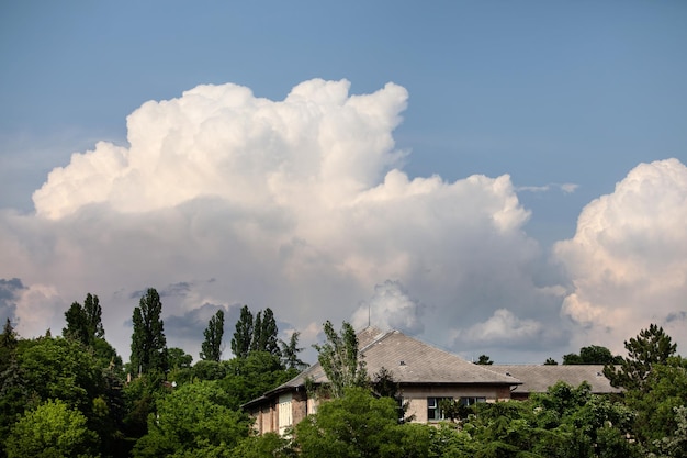 Toit de maison dans le vert de la ville verte de la forêt d'europe naturelle et belle