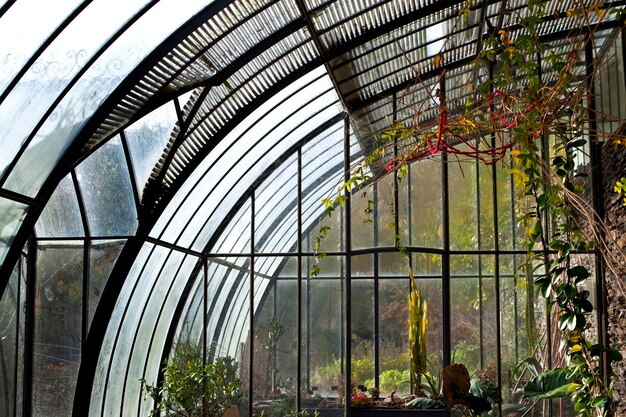 Un toit en verre et des plantes dans un parc