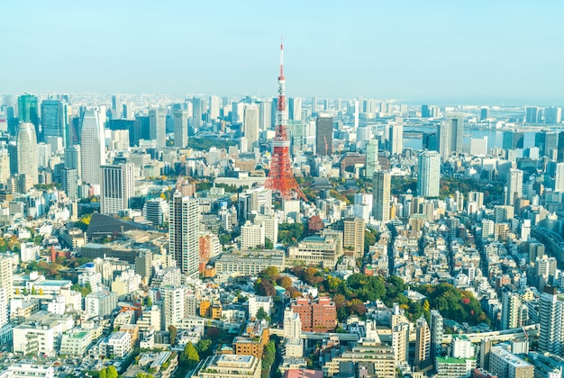 Toits de Tokyo avec la tour de Tokyo