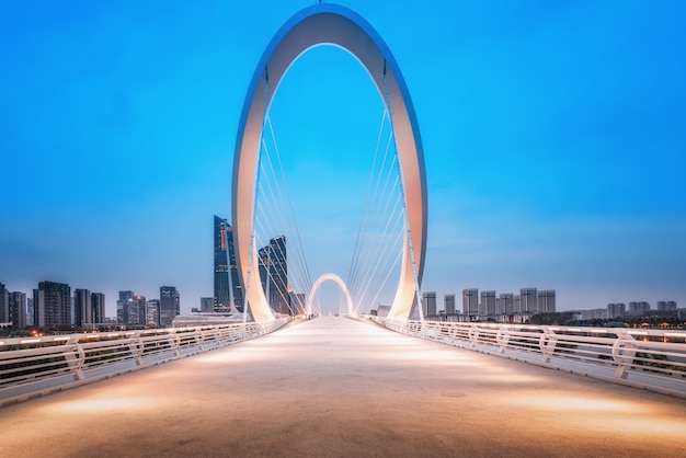 Toits de la ville de Chine Nanjing et bâtiments modernes, paysage crépusculaire