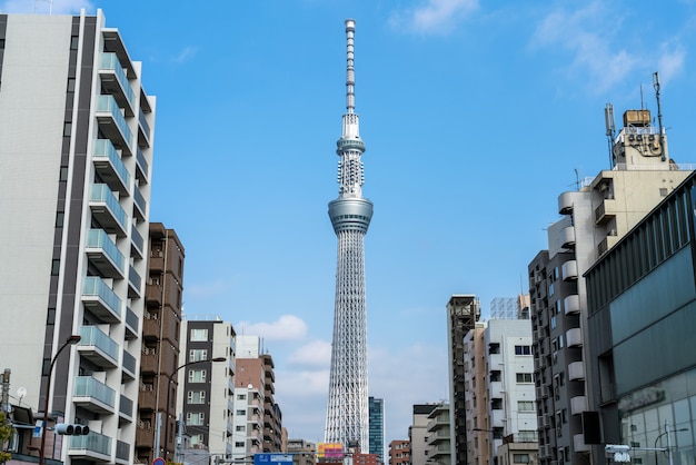 Tokyo ciel arbre localiser dans la rue dans la ville de tokyo quand ciel clair, Japon