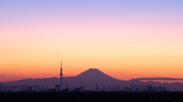 Tokyo et Fuji