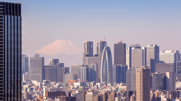 Tokyo, Japon - 11 février 2016 : paysage urbain de Tokyo au Japon avec la montagne Fuji en arrière-plan le 11 février 2016 à Tokyo, Japon.