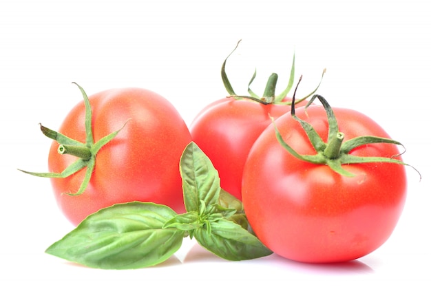 Tomate et basilic