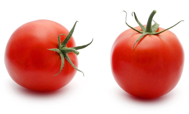 Tomate biologique fraîche isolée sur fond blanc