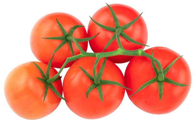 Tomate. Branche de tomate. Tomates isolées sur blanc. Avec chemin de détourage, vue de dessus.