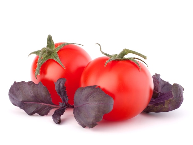 Tomate cerise et feuilles de basilic nature morte