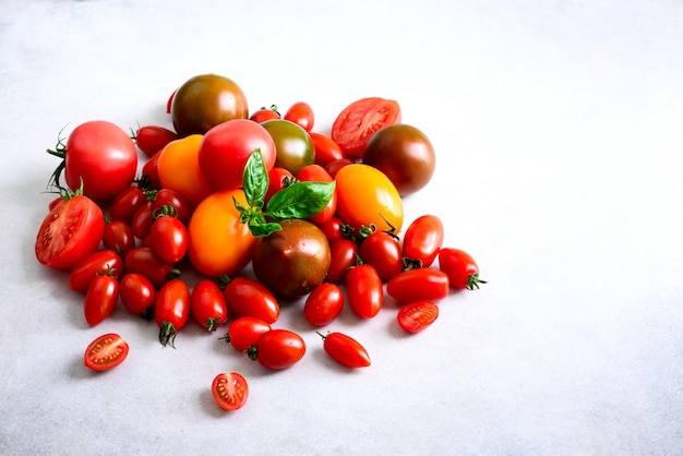 Tomate cerise sur fond gris avec fond. Tomates rouges, jaunes et noires, feuilles de basilic.