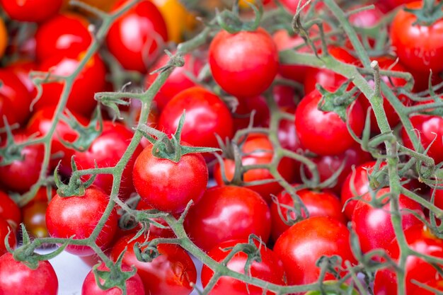 tomate cerise rouge