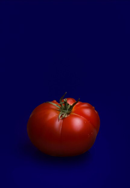 Photo tomate avec fond coloré pour la publicité