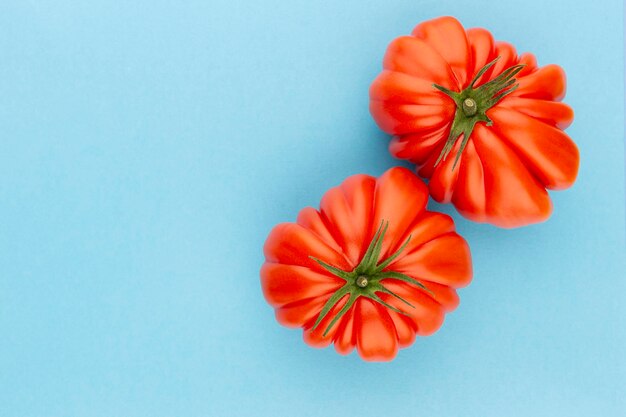 Tomate sur le fond de couleur.