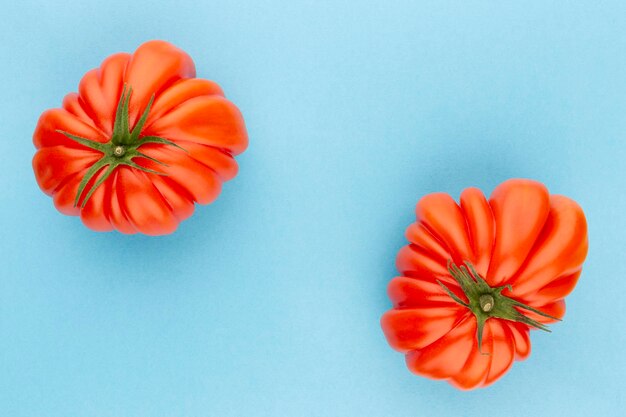 Tomate sur le fond de couleur.