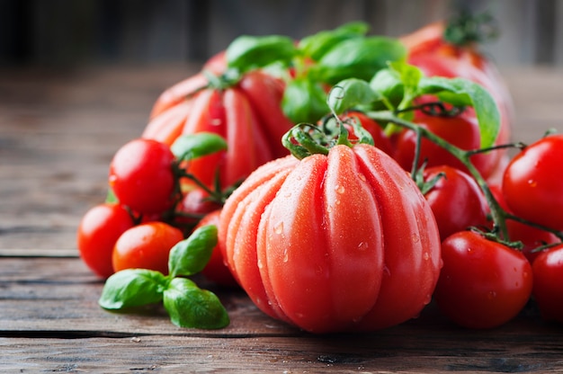 Tomate fraîche rouge douce et basilic