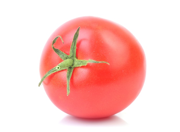 Tomate fraîche