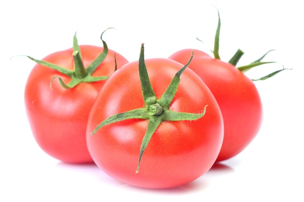 Tomate fraîche