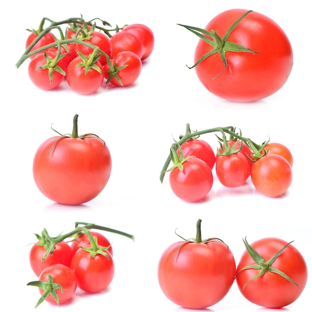 Tomate fraîche