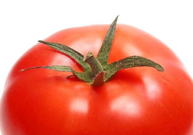 Tomate, gros plan