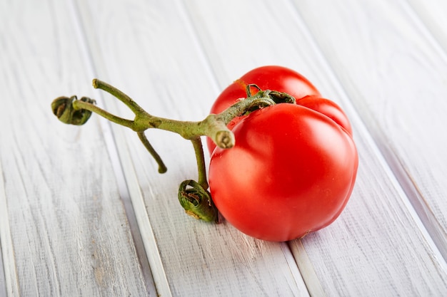 Tomate mutante gravement malformée