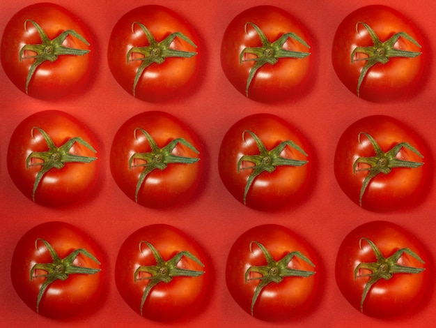 Tomate sur papier de couleur Tomate de serre sur fond rouge Fond clair