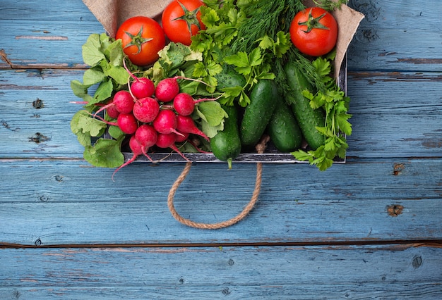 Tomate, radis et concombres sur fond bleu