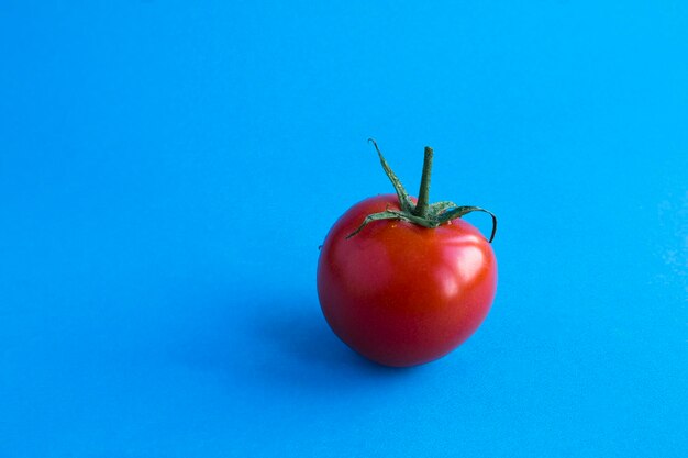 Une tomate rouge sur le fond bleu Espace de copieCloseup