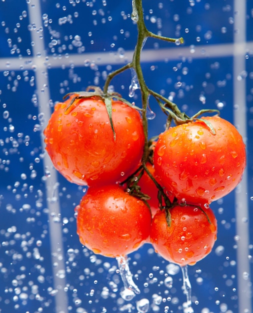 Tomate rouge fraîche dans les gouttes d'eau