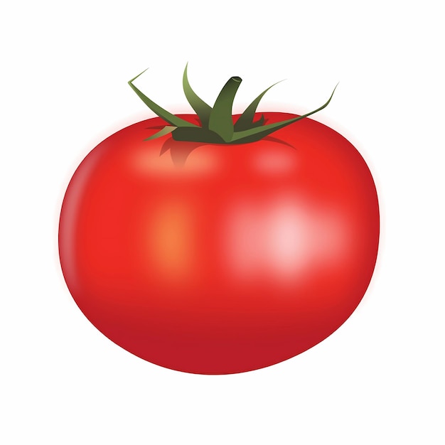 Une tomate rouge mûre