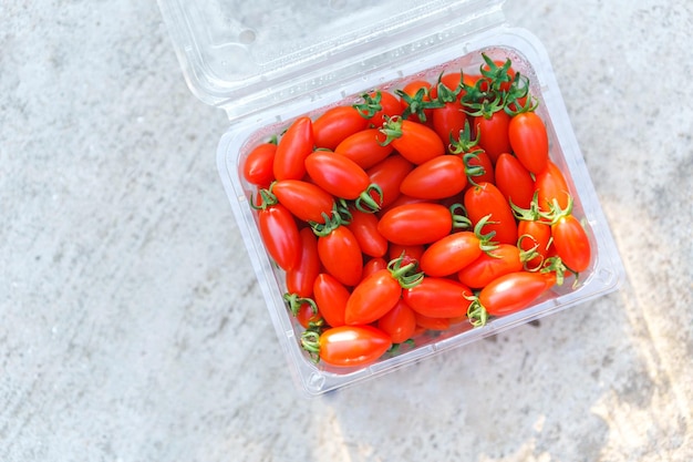 Photo tomate solarino est une variété de hollande le fruit est petit.