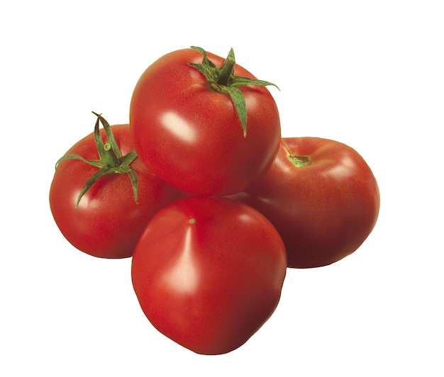 Tomate