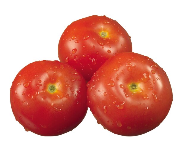 Tomate