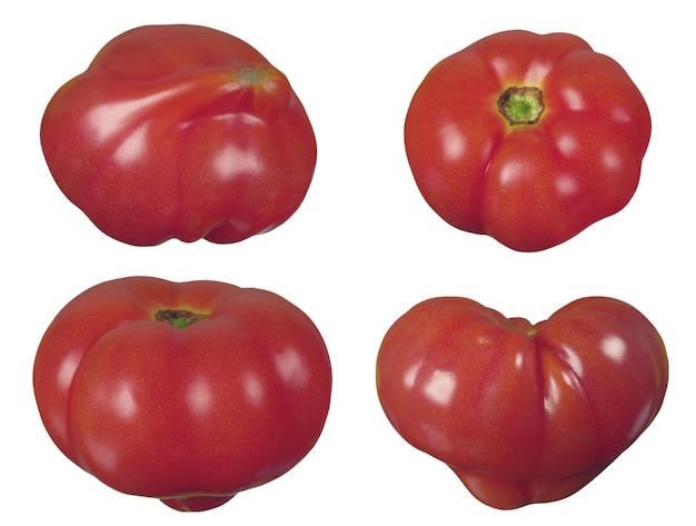 Tomate