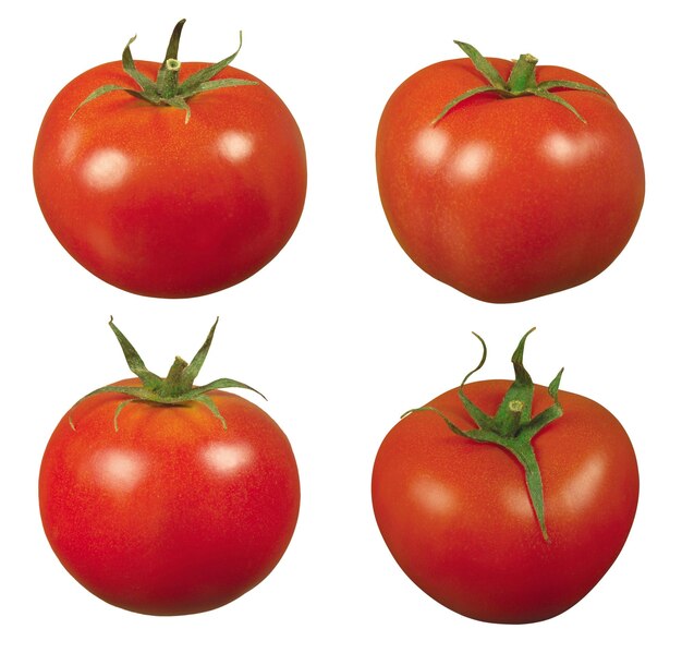 Tomate